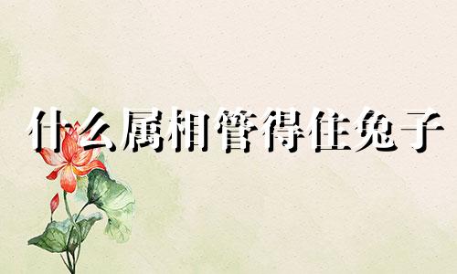 什么属相管得住兔子 什么生肖能镇住属兔