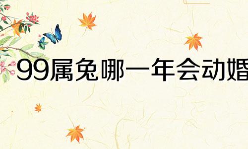 99属兔哪一年会动婚 最佳结婚时间
