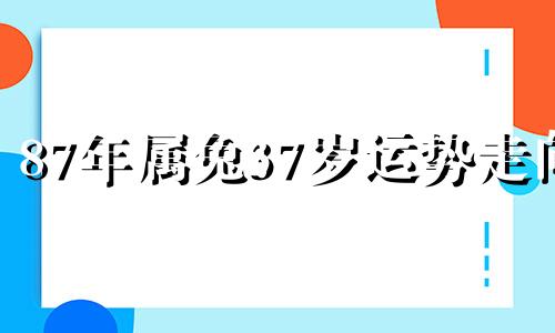 87年属兔37岁运势走向 87年属兔人十年大运