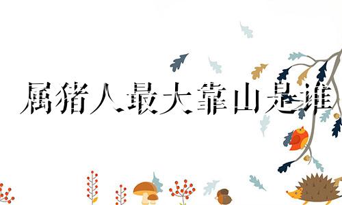 属猪人最大靠山是谁 2025属猪人可以在蛇年结婚吗女孩