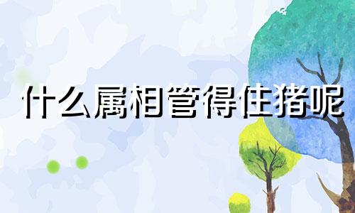 什么属相管得住猪呢 什么属相能镇住属猪的