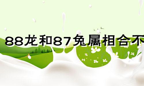 88龙和87兔属相合不合 88龙和87兔结婚好吗
