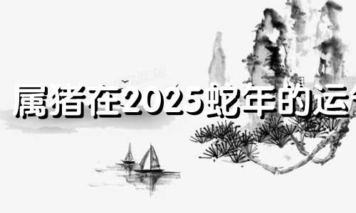 属猪在2025蛇年的运气 2025横财入命的四大生肖