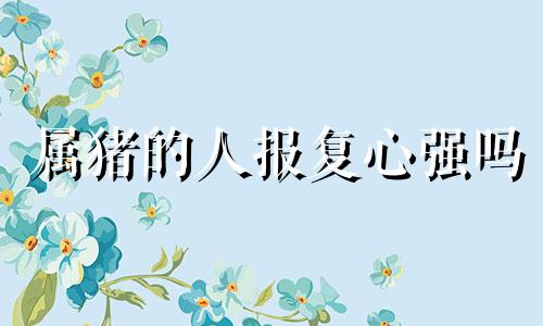 属猪的人报复心强吗 属猪的人心狠吗?