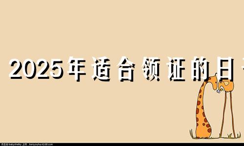 2025年适合领证的日子 2025年5月20日可以领证吗