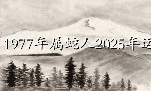 1977年属蛇人2025年运势 77年属蛇人2025年运势如何