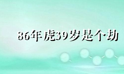 86年虎39岁是个劫 1986年山林之虎什么意思