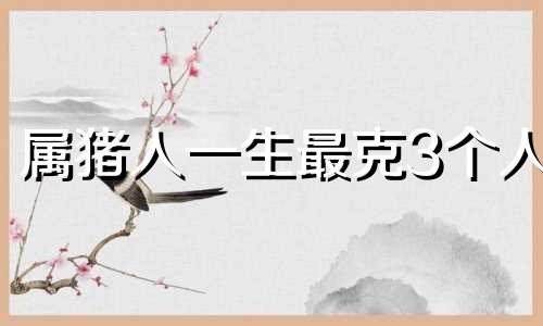 属猪人一生最克3个人 95男猪最忌三个属相的人