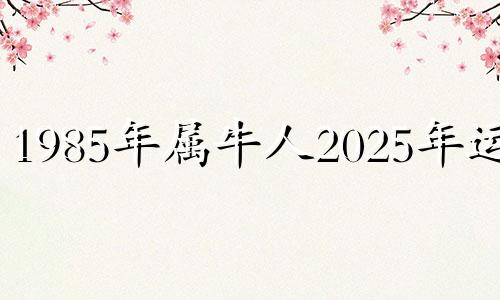 1985年属牛人2025年运势 85年属牛人2025年运势怎么样