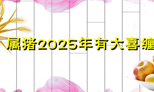 属猪2025年有大喜缠身 95年属猪何时走大运呢