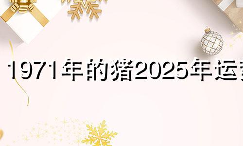 1971年的猪2025年运势男 2024年猪人运程1983年