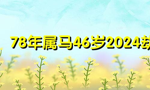 78年属马46岁2024劫难 1978年属马后半生运势