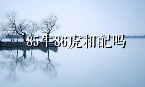85牛86虎相配吗 85牛和86虎合财吗