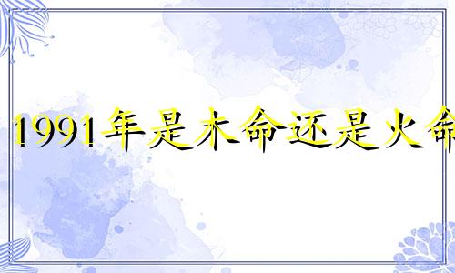 1991年是木命还是火命? 1991年到底是木还是火