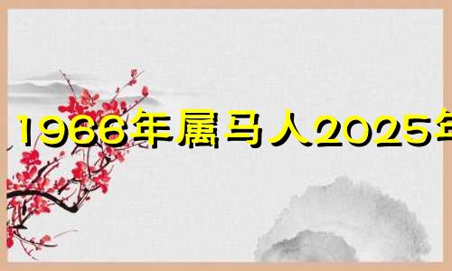 1966年属马人2025年运势 66年属马人2025年运势如何