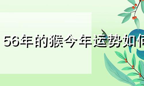 56年的猴今年运势如何 今年56年属猴人的命运