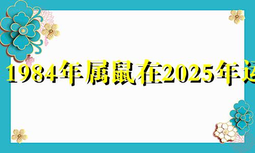 1984年属鼠在2025年运势 1984年属鼠男2023年运势每月运势