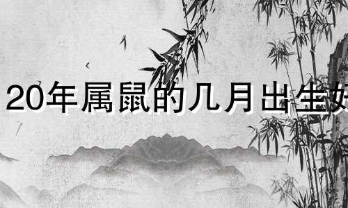 20年属鼠的几月出生好 2020鼠年出生几月命最好