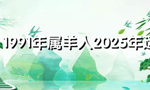 1991年属羊人2025年运势 91年属羊未来20年大运