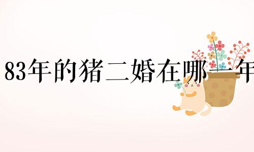 83年的猪二婚在哪一年 83年猪女和90年马结婚长久吗视频