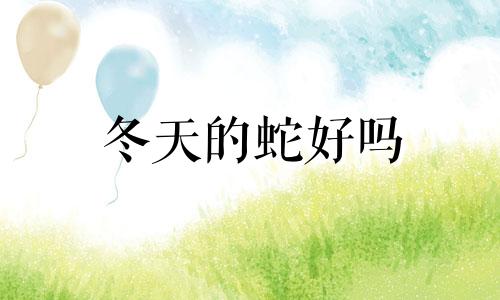 冬天的蛇好吗 冬天里的蛇命运