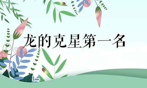 龙的克星第一名 猪的克星第一名