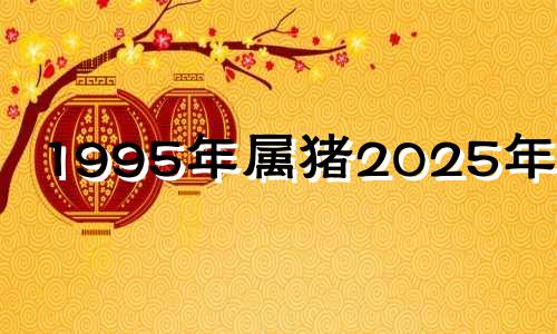 1995年属猪2025年运势 95年属猪的2023年运势怎么样