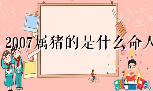 2007属猪的是什么命人 2007属猪的是什么命金木水火土属性