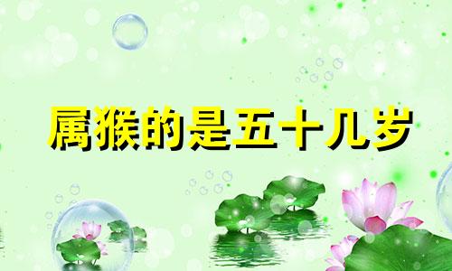 属猴的是五十几岁 属猴的过了28岁就顺了
