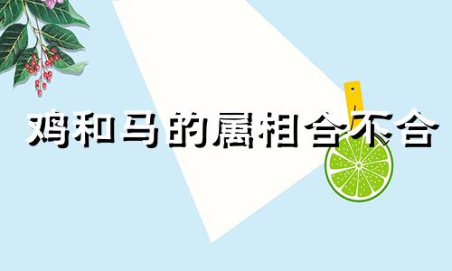 鸡和马的属相合不合 在一起好吗