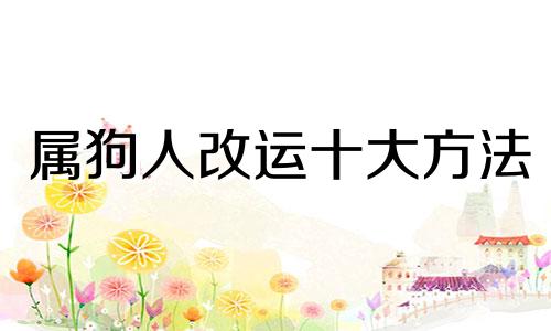 属狗人改运十大方法 属狗的人怎么样改变命运
