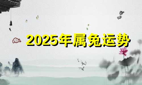 2025年属兔运势 2025年属兔人的全年每月