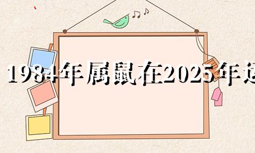1984年属鼠在2025年运势 1984年属鼠202年运势