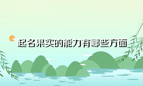 起名果实的能力有哪些方面