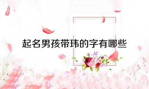 起名男孩带玮的字有哪些