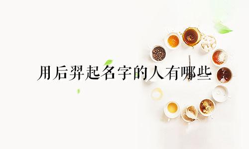 用后羿起名字的人有哪些