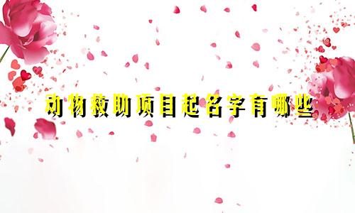 动物救助项目起名字有哪些
