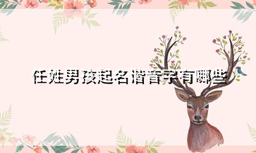 任姓男孩起名谐音字有哪些