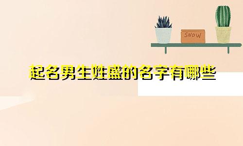 起名男生姓盛的名字有哪些