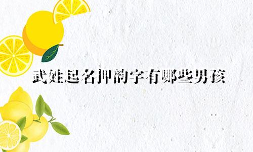 武姓起名押韵字有哪些男孩
