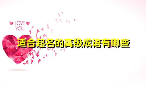 适合起名的高级成语有哪些
