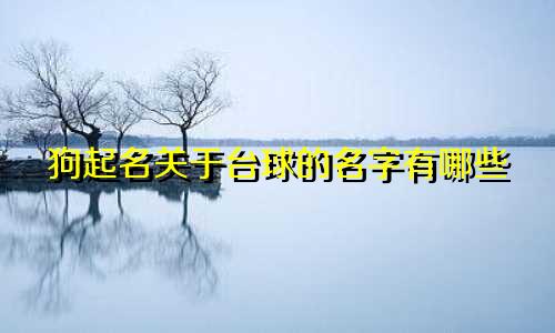 狗起名关于台球的名字有哪些