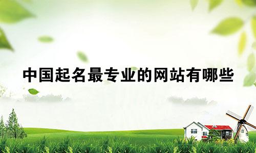 中国起名最专业的网站有哪些