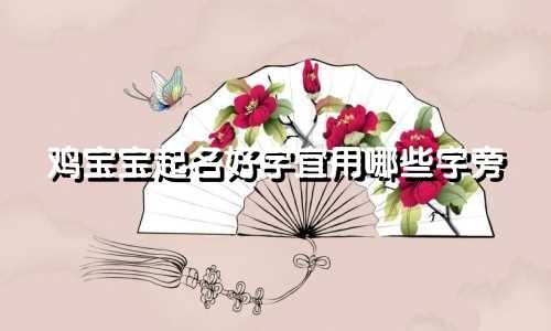 鸡宝宝起名好字宜用哪些字旁