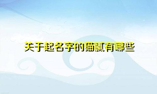 关于起名字的猫腻有哪些