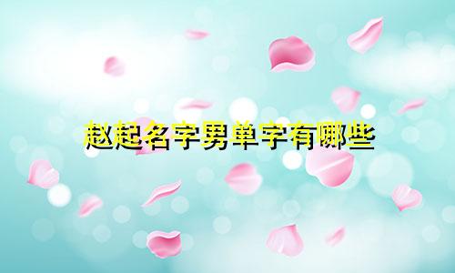 赵起名字男单字有哪些