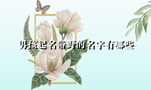 男孩起名带野的名字有哪些