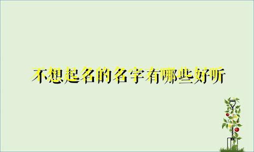 不想起名的名字有哪些好听