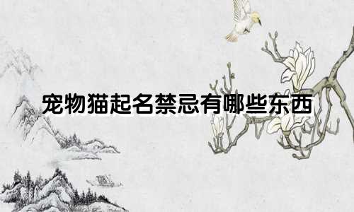 宠物猫起名禁忌有哪些东西