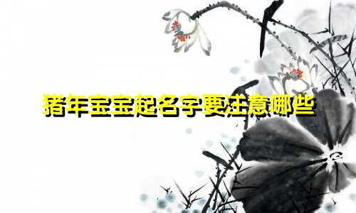 猪年宝宝起名字要注意哪些